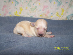 click here to see me grow
