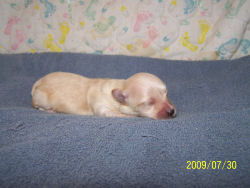click here to see me grow