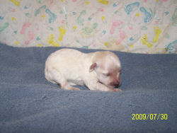 click here to see me grow
