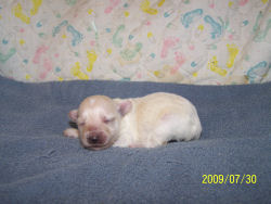 click here to see me grow