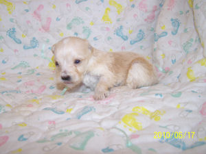 click here to see me grow